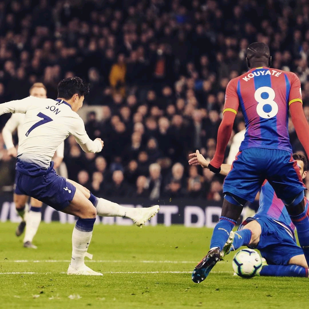 什福德适应 什福德适应