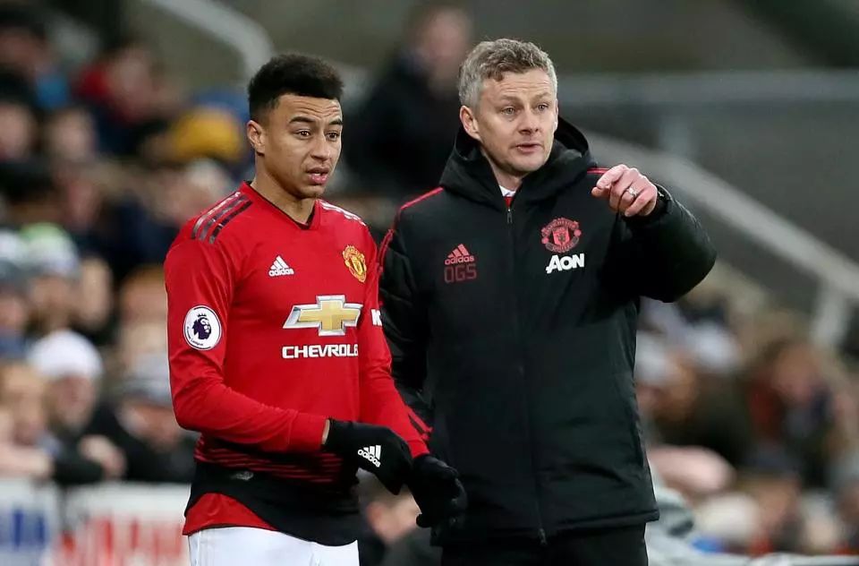 伯杯和分析 伯杯和分析